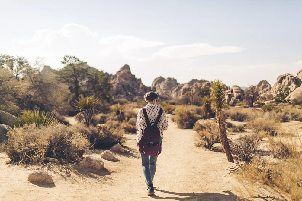 joshua-tree-julia-trotti_34.jpg