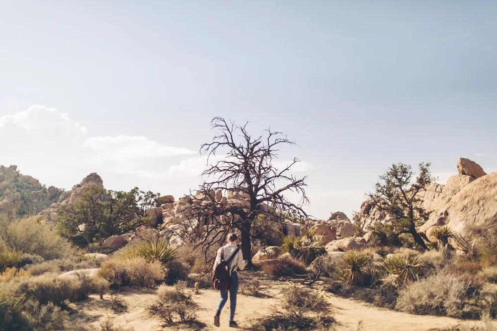 joshua-tree-julia-trotti_35.jpg