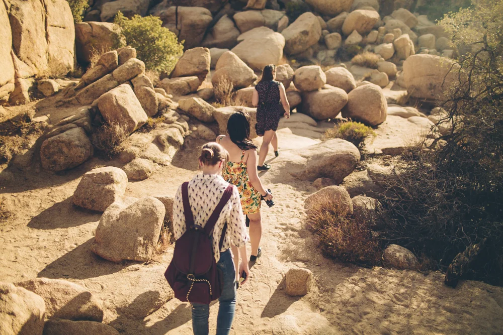 joshua-tree-julia-trotti_42.jpg