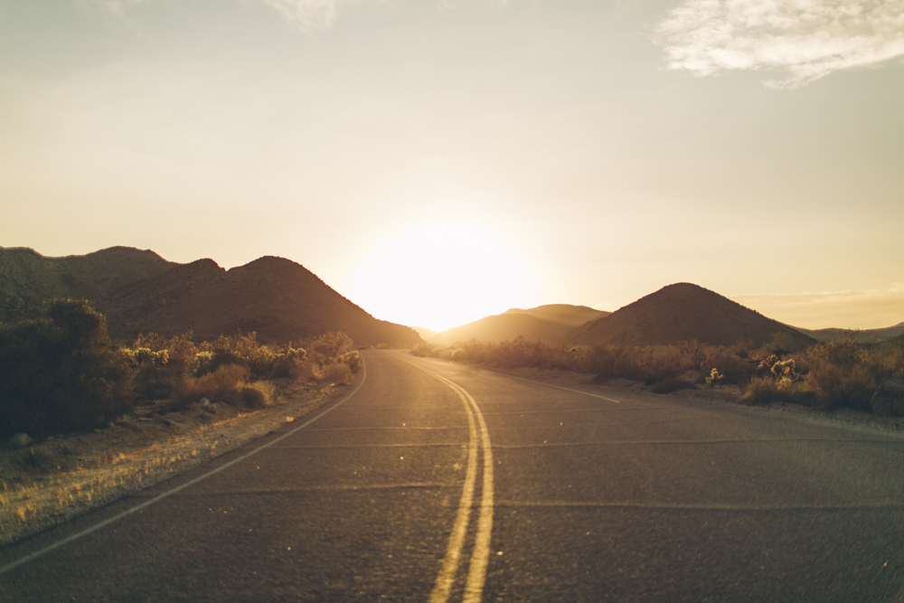  We barely saw another car or other people - it felt like we were at Joshua Tree all by ourselves. 