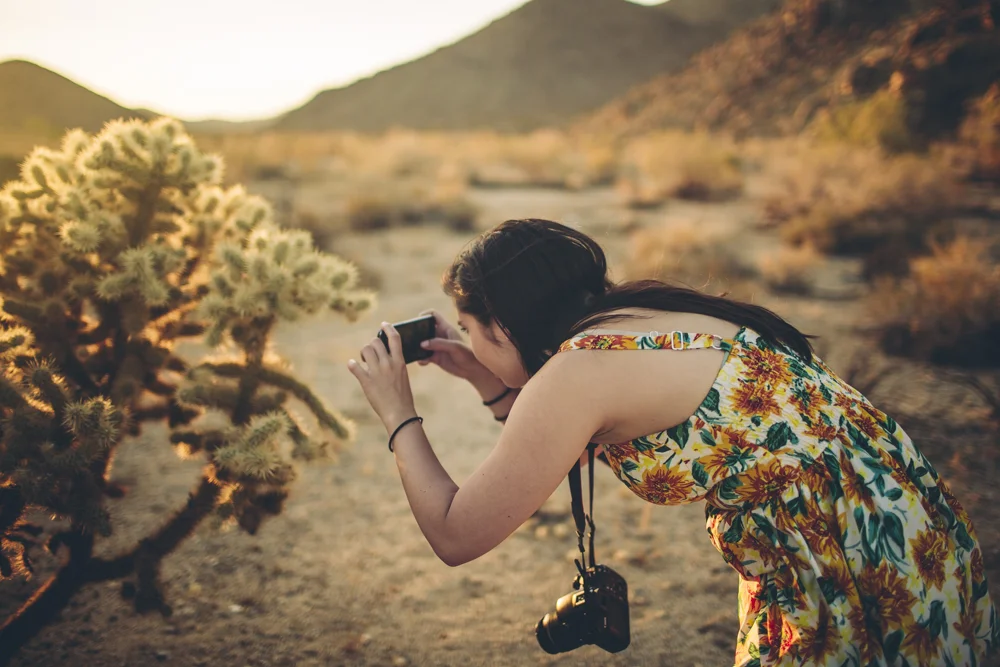  Pulling over on the side of the road to take pictures at sunset. 
