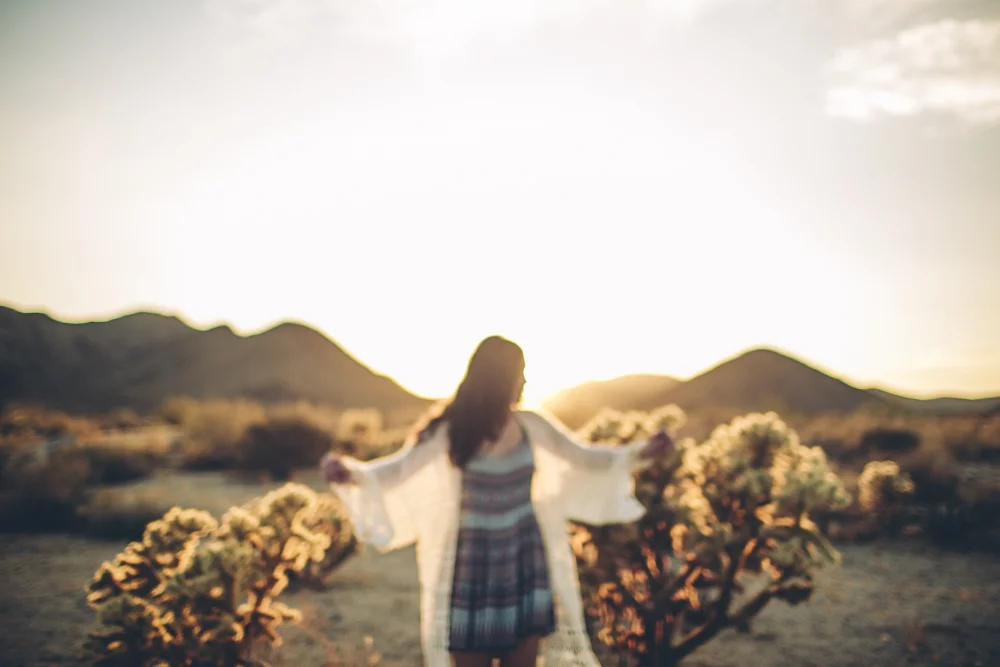 joshua-tree-julia-trotti_75.jpg