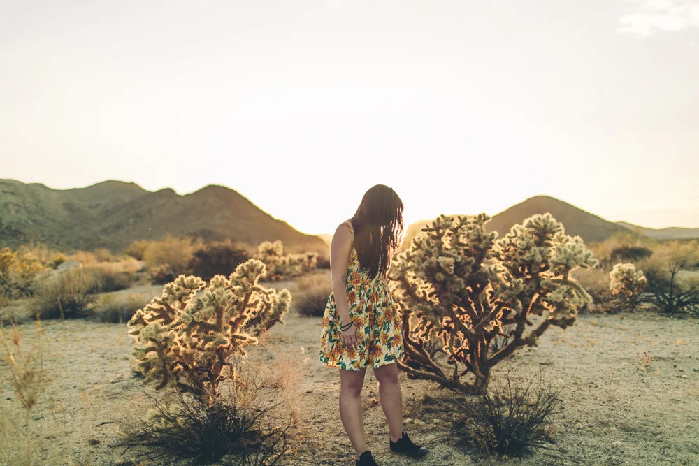 joshua-tree-julia-trotti_77.jpg