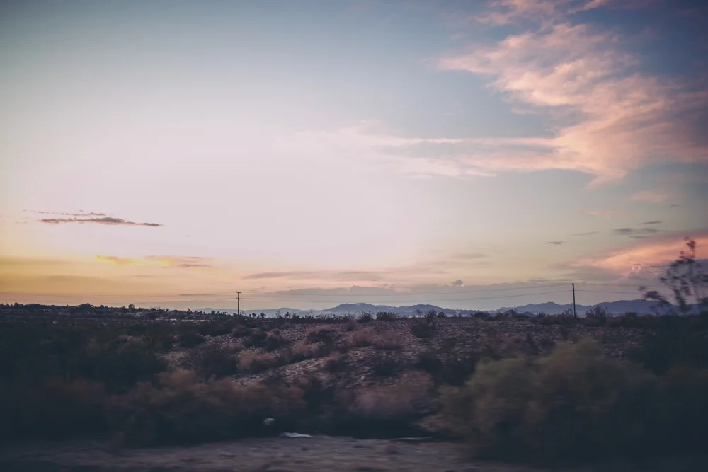 joshua-tree-julia-trotti_88.jpg
