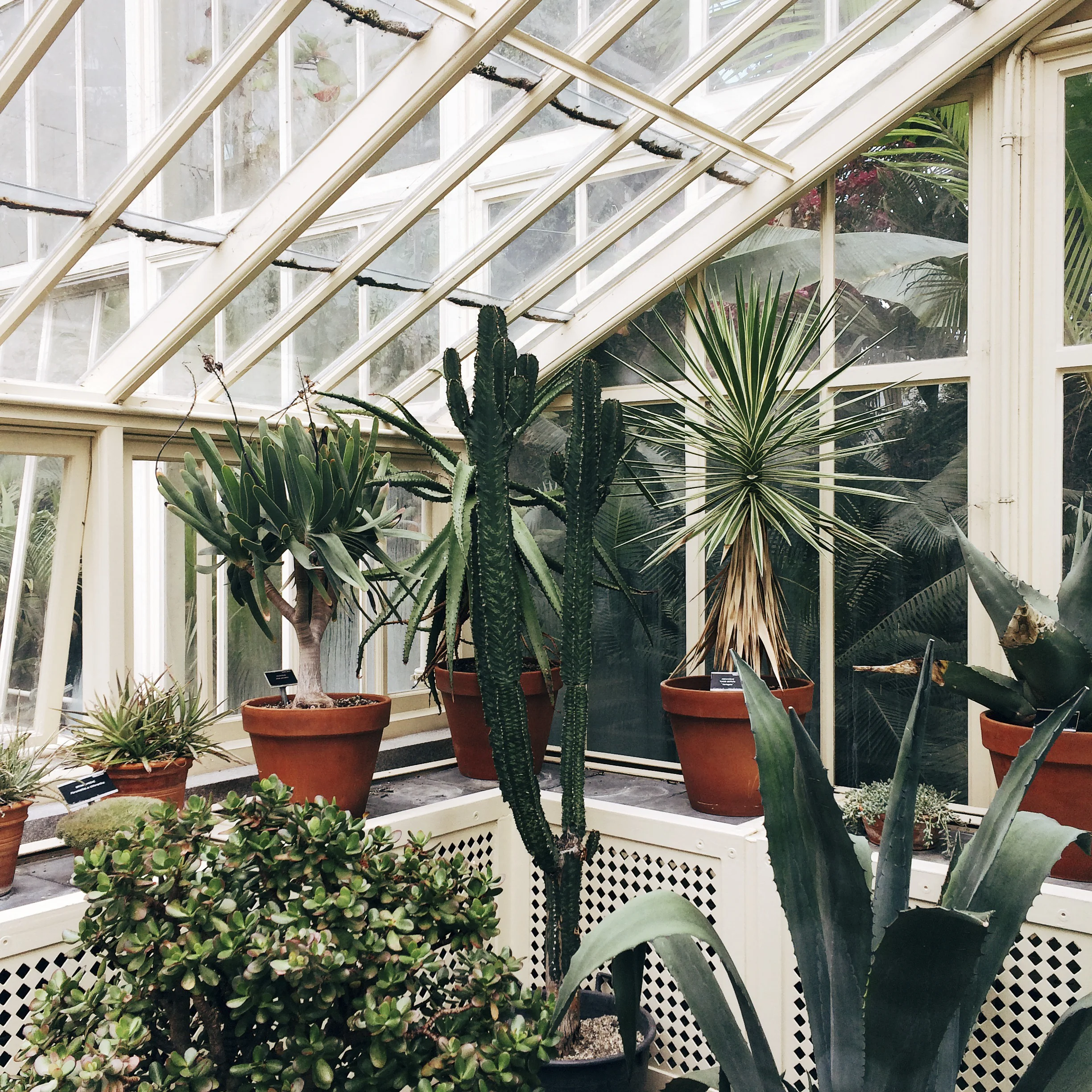 ireland instagram diary