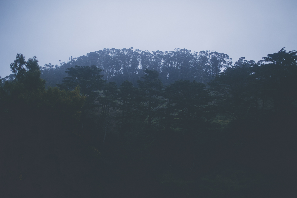  One second you're driving past houses stuck one against another, the next second you're driving past beautiful forests. 