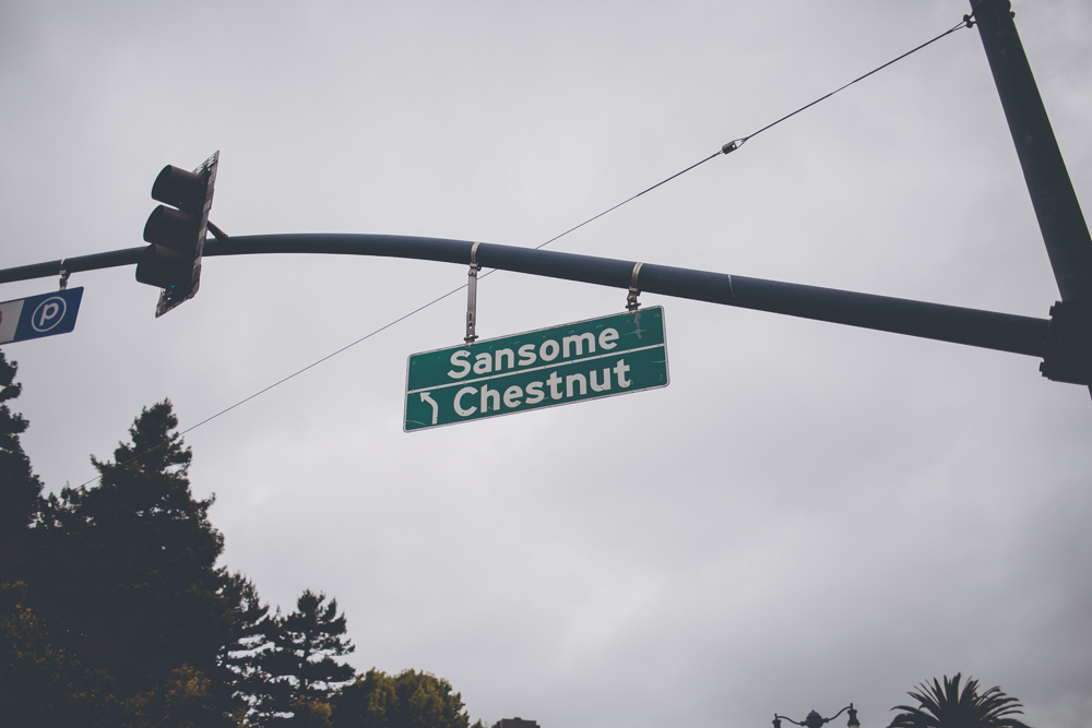  Every time we walked past this sign we all kept thinking it said 'handsome chestnut'. 