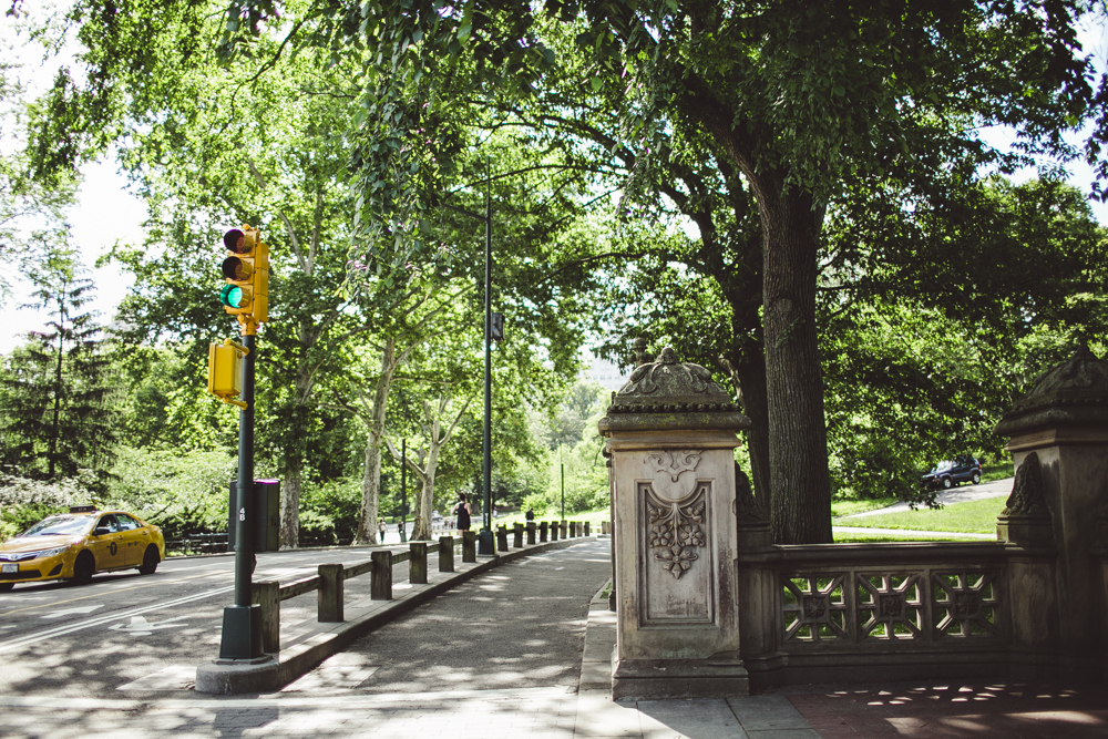 central park-nyc-juliatrotti_22.jpg