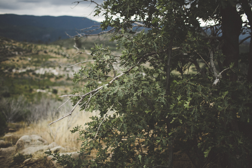 julia-trotti_yosemite_30.jpg