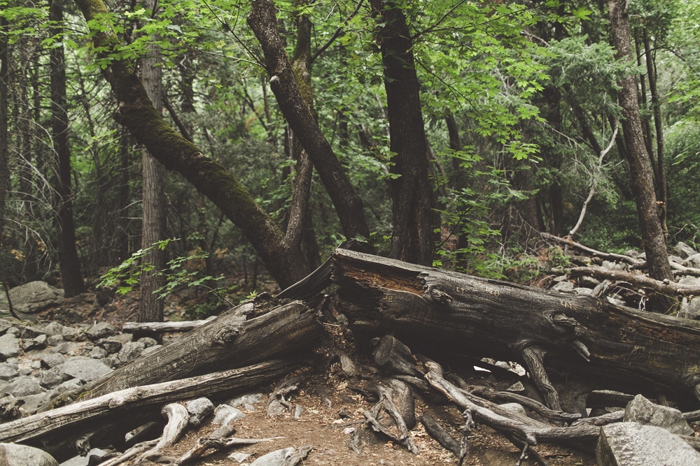 julia-trotti_yosemite_53.jpg