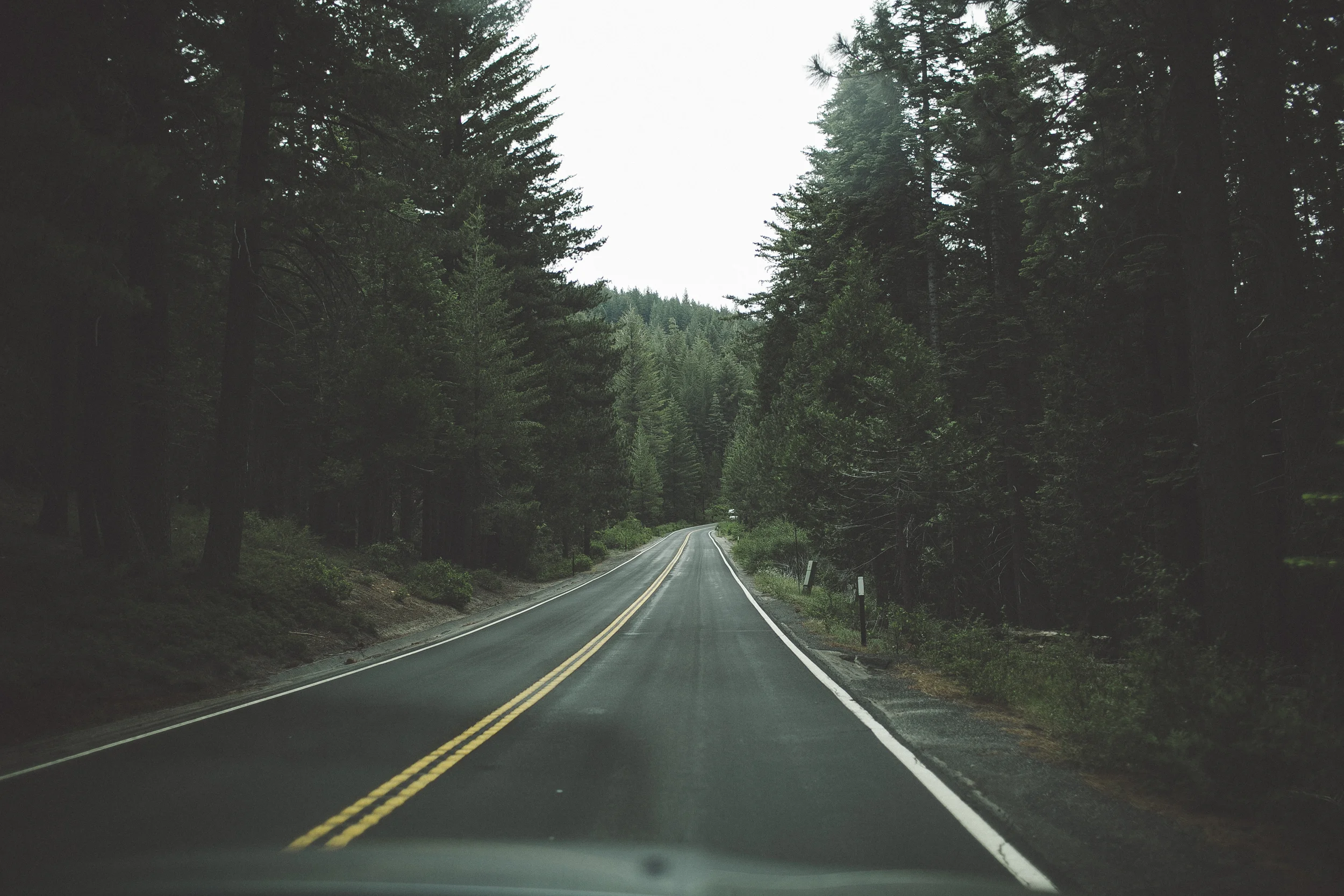 roadtrip to yosemite national park