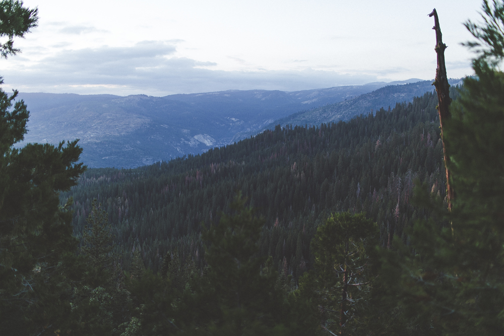 julia-trotti_yosemite_02.jpg