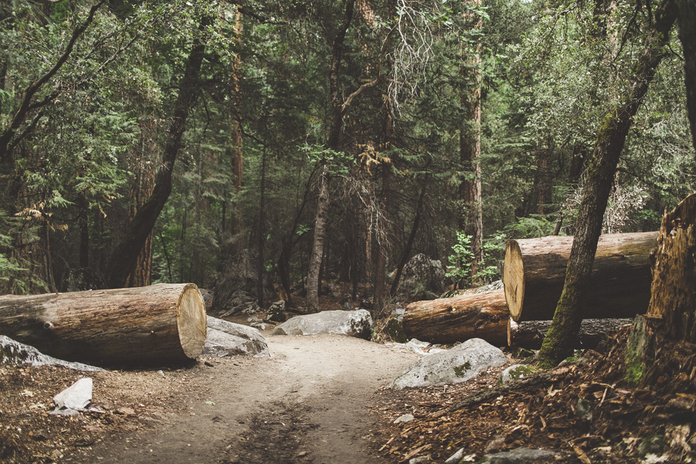 julia-trotti_yosemite_08.jpg