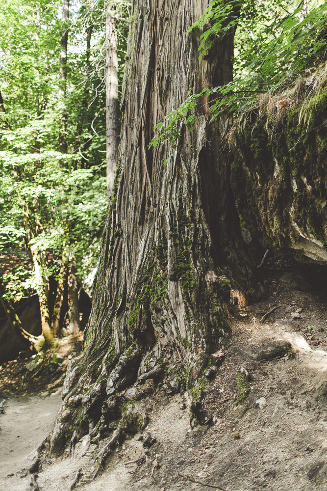 julia-trotti_yosemite_15.jpg