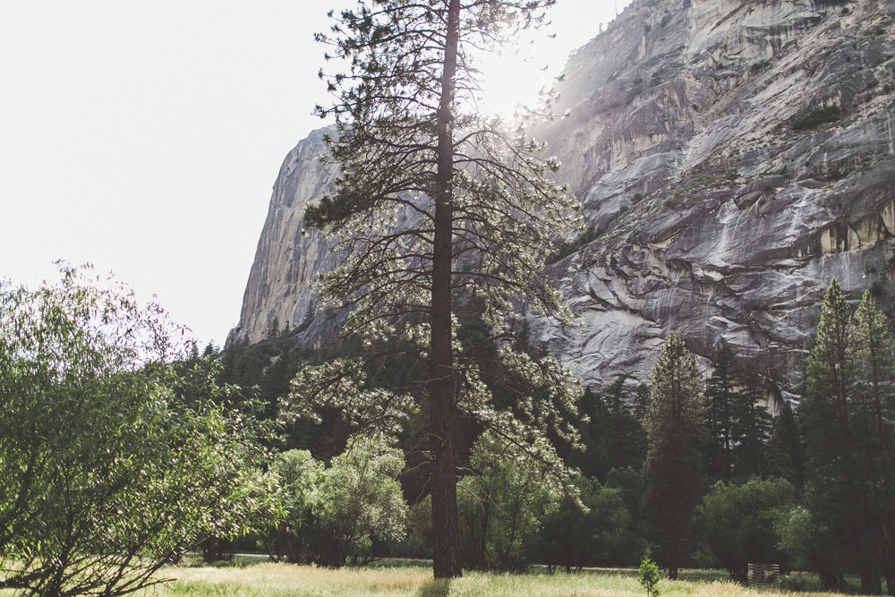 julia-trotti_yosemite_27.jpg