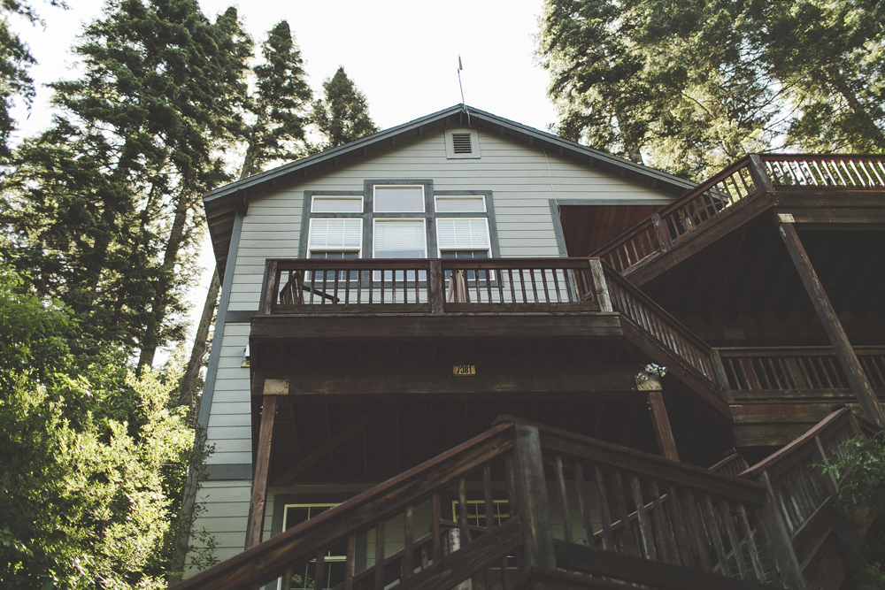  Our tree house in the morning light. 