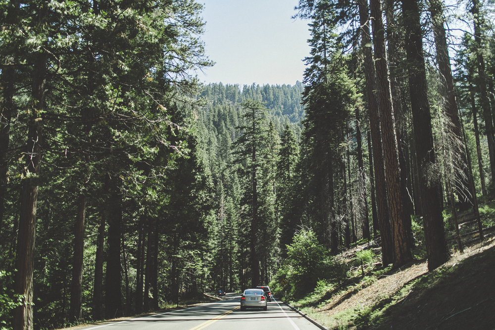 julia-trotti_yosemite_02.jpg