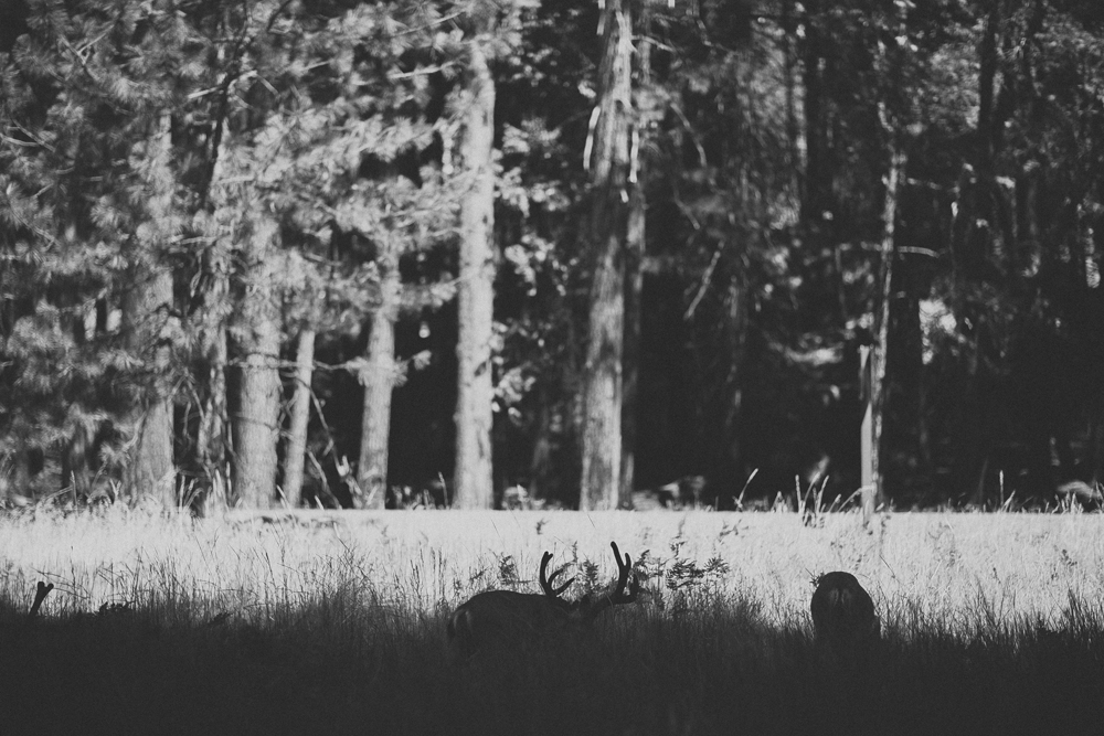 julia-trotti_yosemite_11.jpg