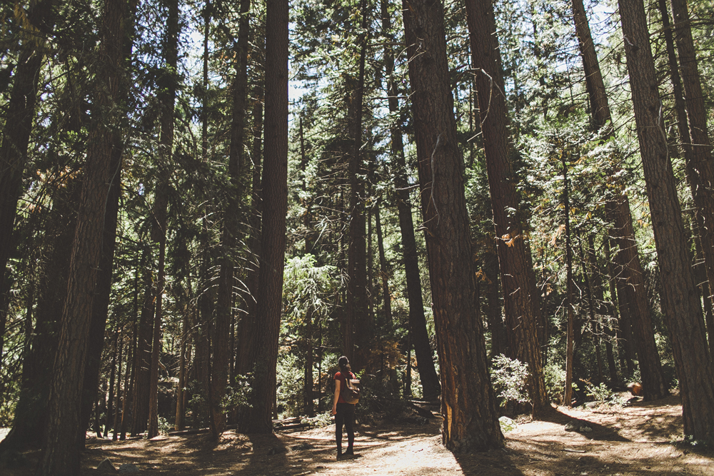 julia-trotti_yosemite_37.jpg