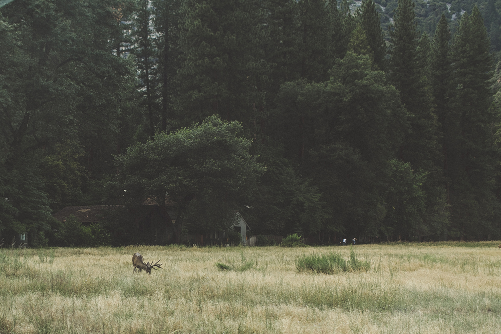 julia-trotti_yosemite_04.jpg