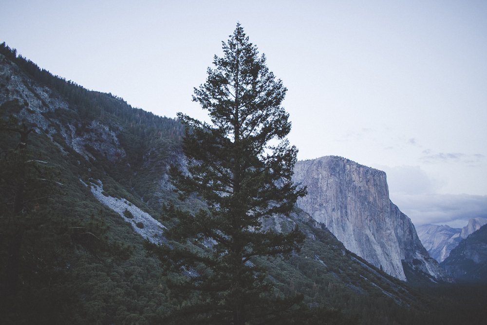 julia-trotti_yosemite_31.jpg