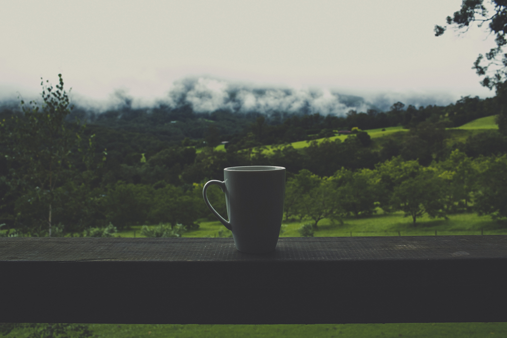  Sipping on coffee, no sounds other than birds and water falling off the nearby mountains to be heard. 