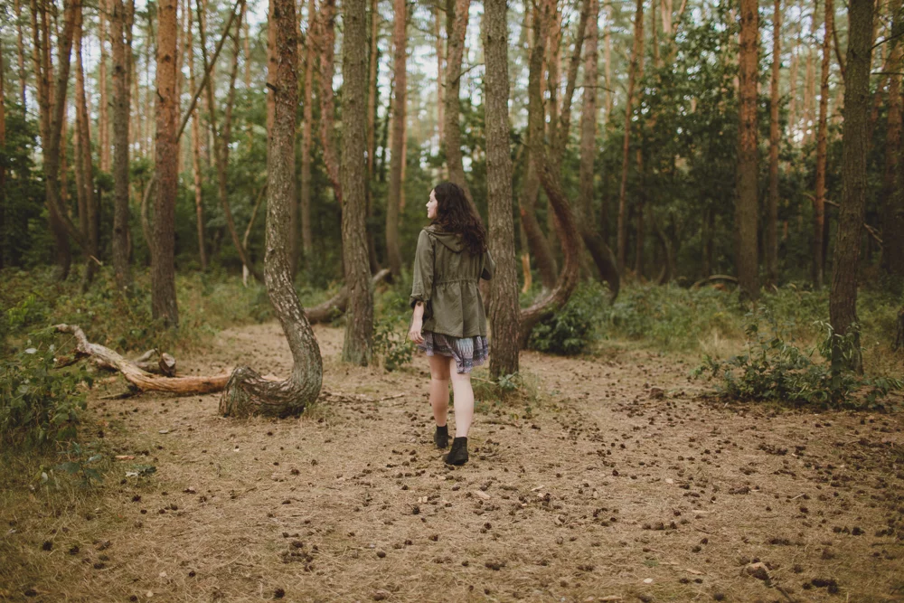 julia-trotti_crooked-forest_003.jpg