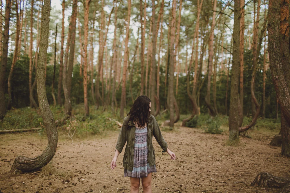 julia-trotti_crooked-forest_007.jpg