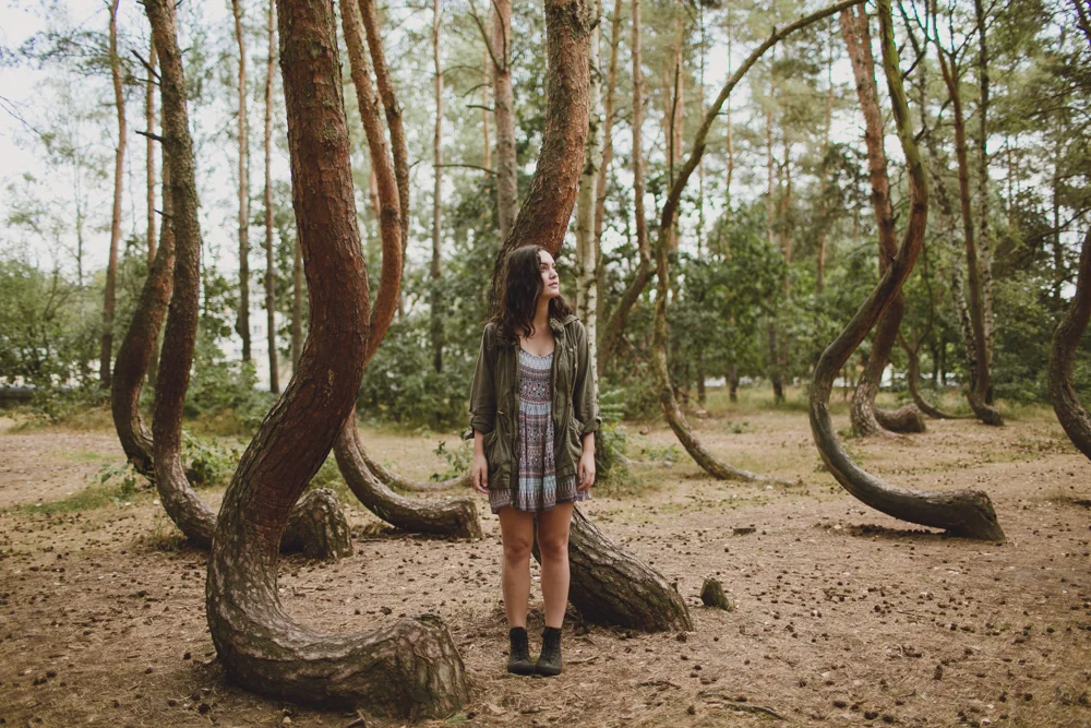 julia-trotti_crooked-forest_011.jpg
