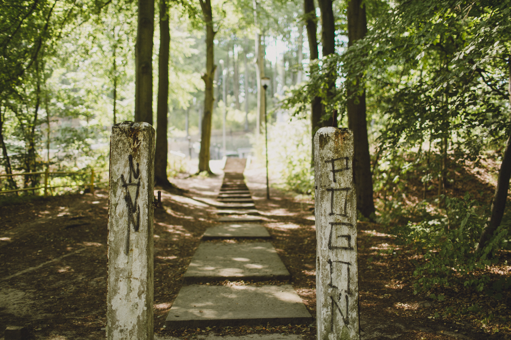 julia-trotti_crooked-forest_030.jpg