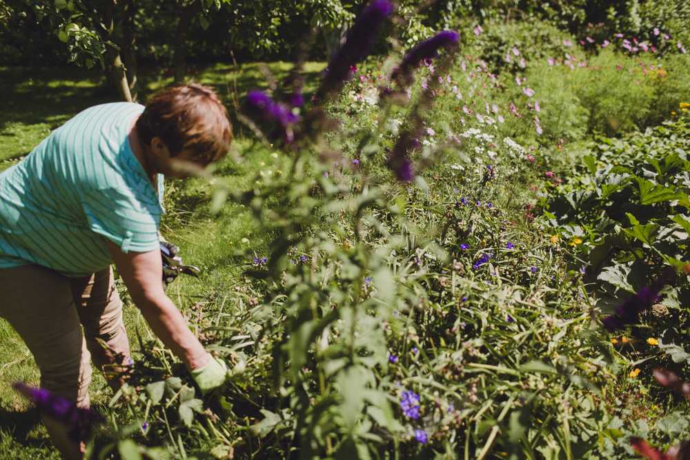  Dan's aunty working in the garden. All of the meals we ate at home, most of the ingredients come from here. 