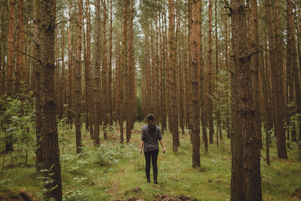  Exploring the local forest. 