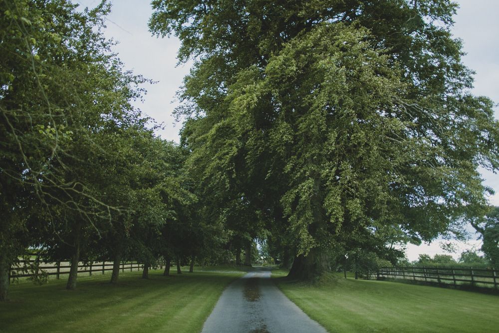  The beautiful driveway to our bed &amp; breakfast home. 