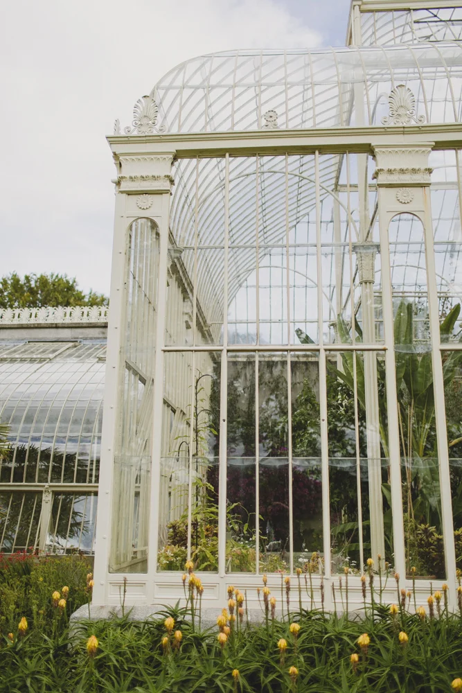 julia-trotti_dublin-botanic_001.jpg