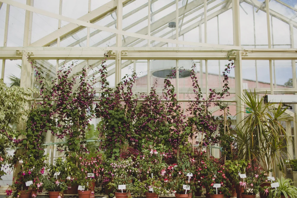 julia-trotti_dublin-botanic_010.jpg