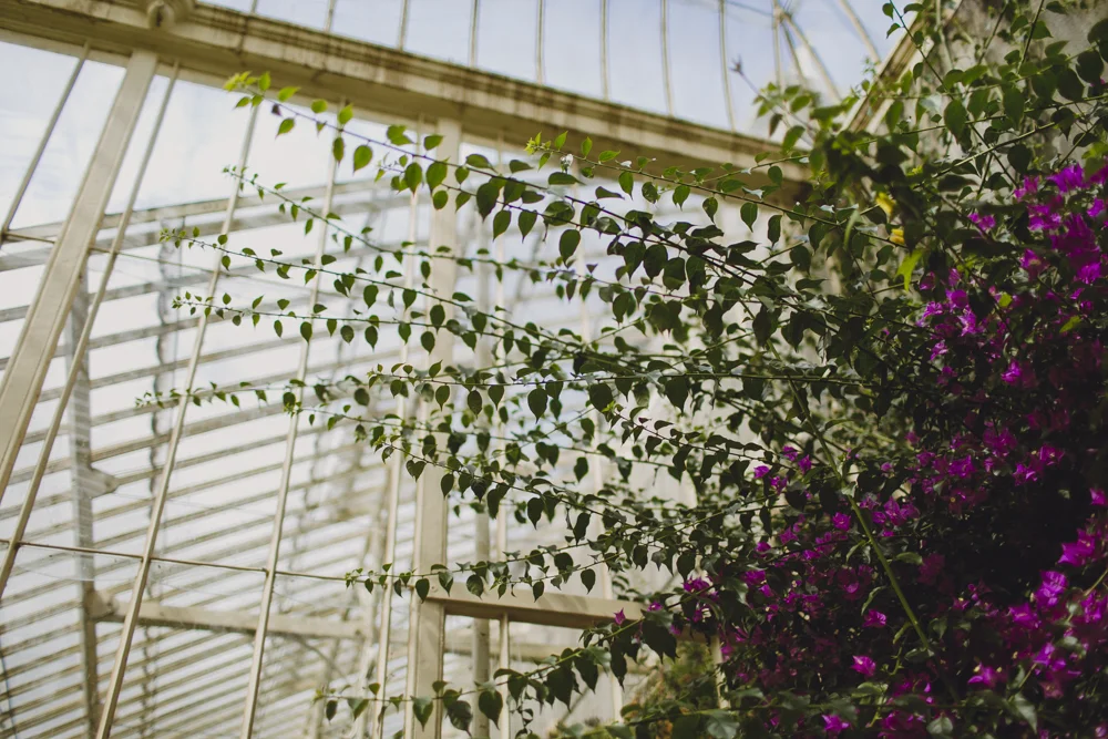 julia-trotti_dublin-botanic_013.jpg