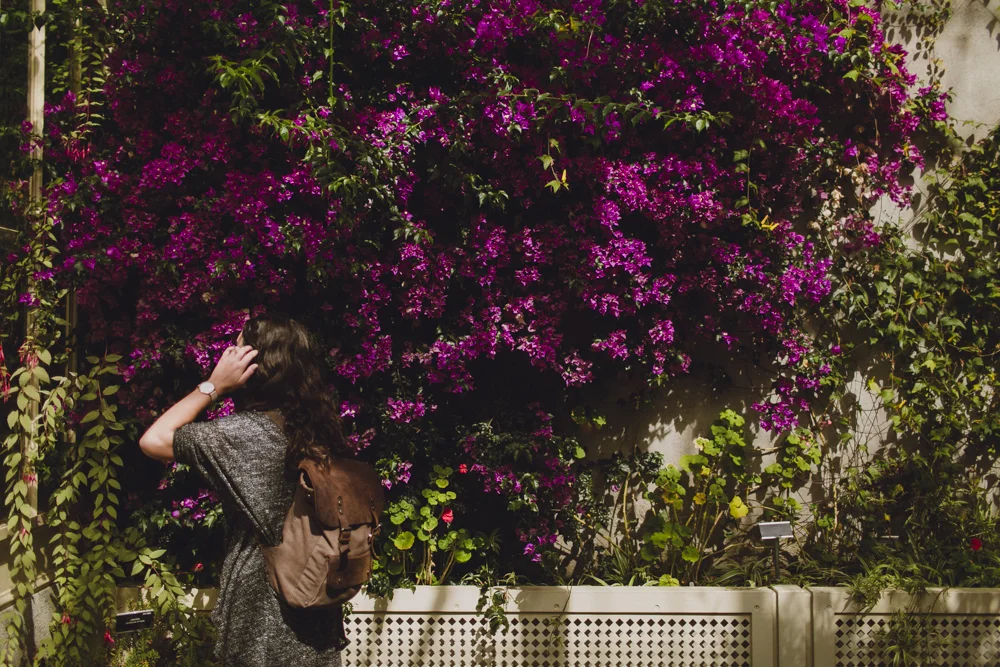 julia-trotti_dublin-botanic_012.jpg