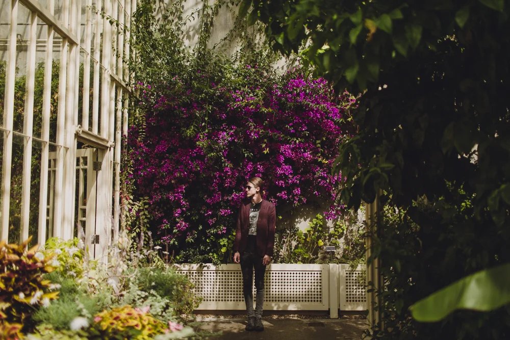 julia-trotti_dublin-botanic_020.jpg
