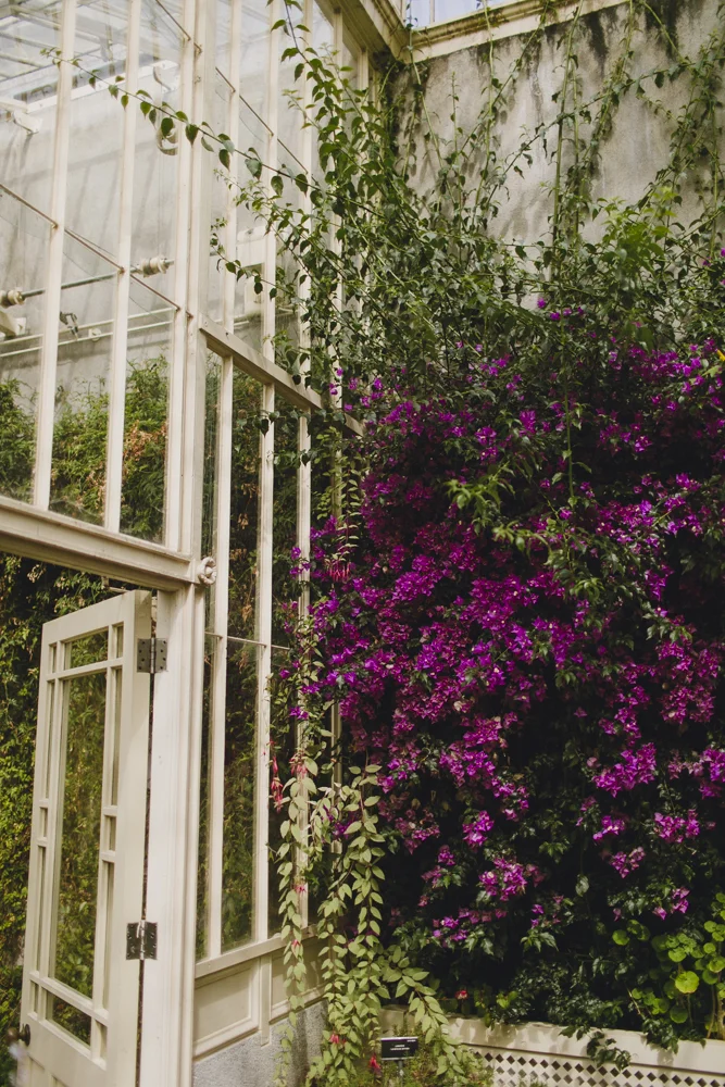 julia-trotti_dublin-botanic_021.jpg