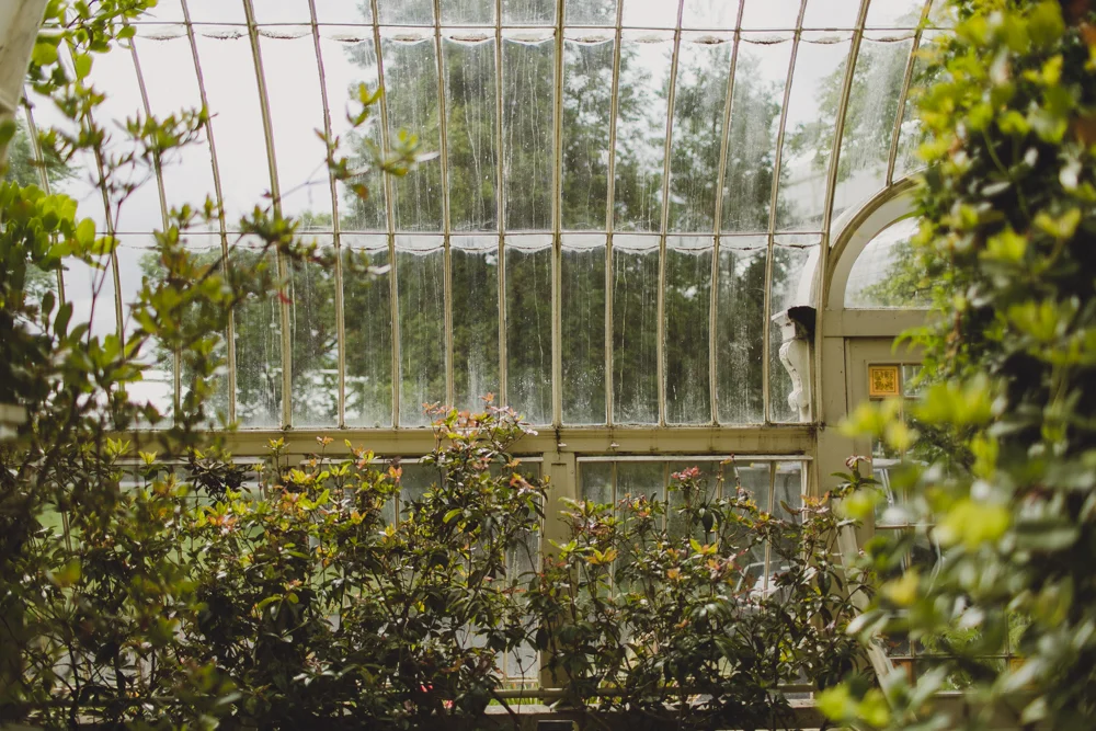 julia-trotti_dublin-botanic_023.jpg