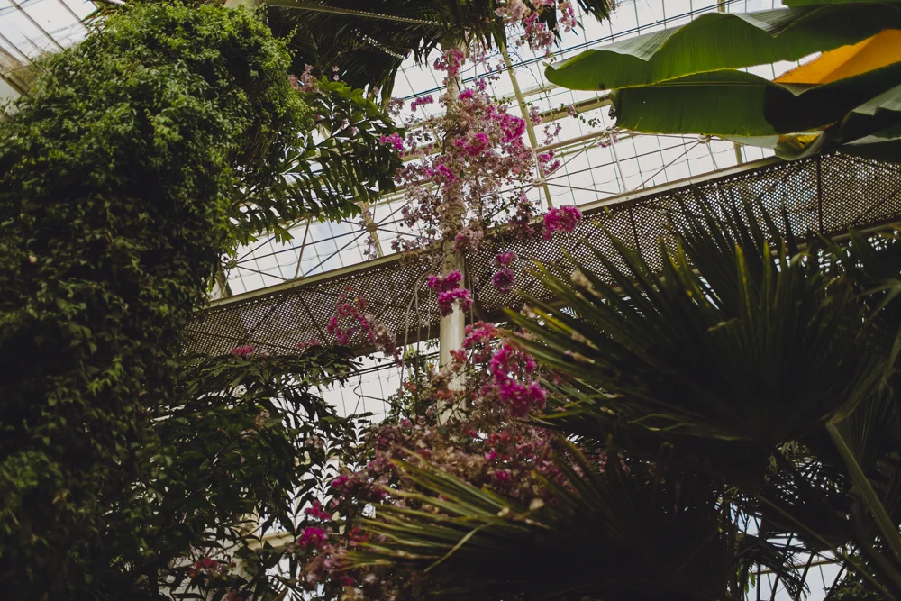 julia-trotti_dublin-botanic_031.jpg