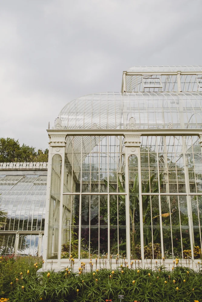 julia-trotti_dublin-botanic_057.jpg