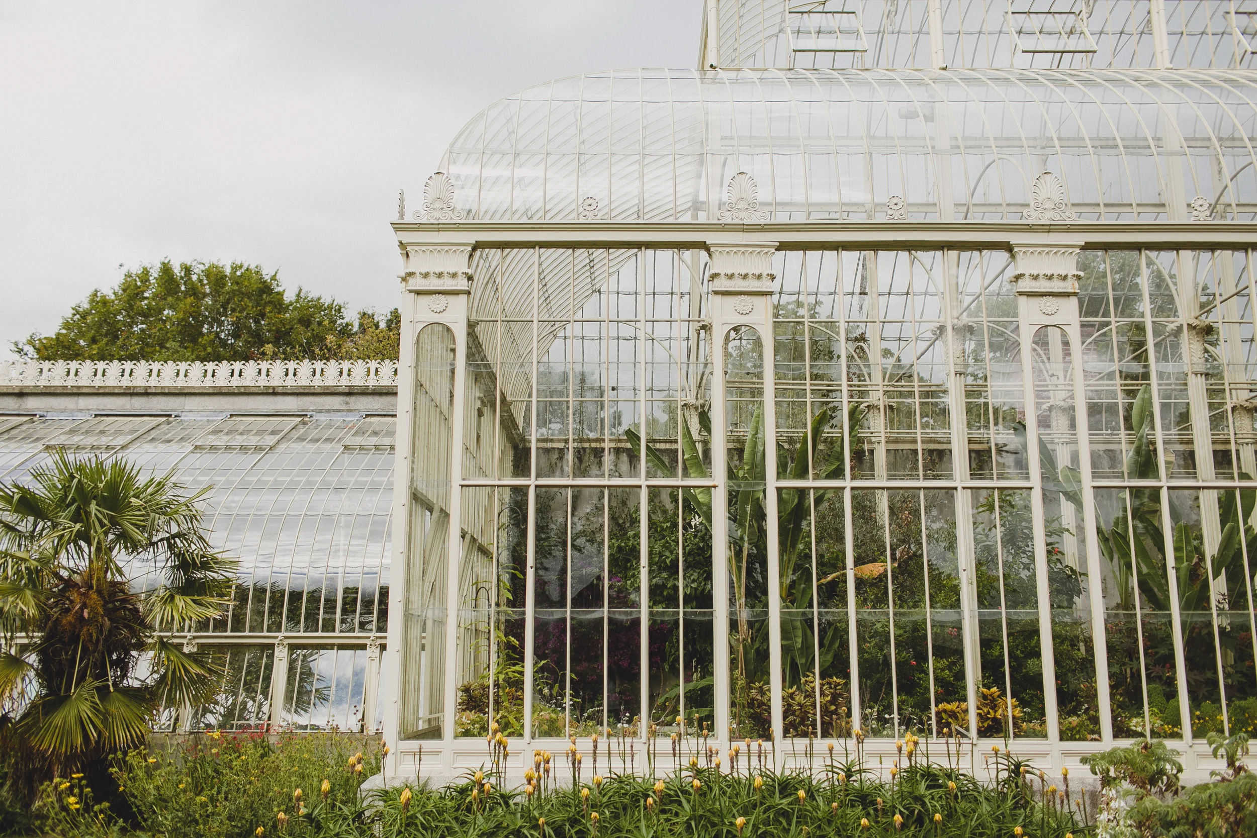 dublin botanic gardens, ireland