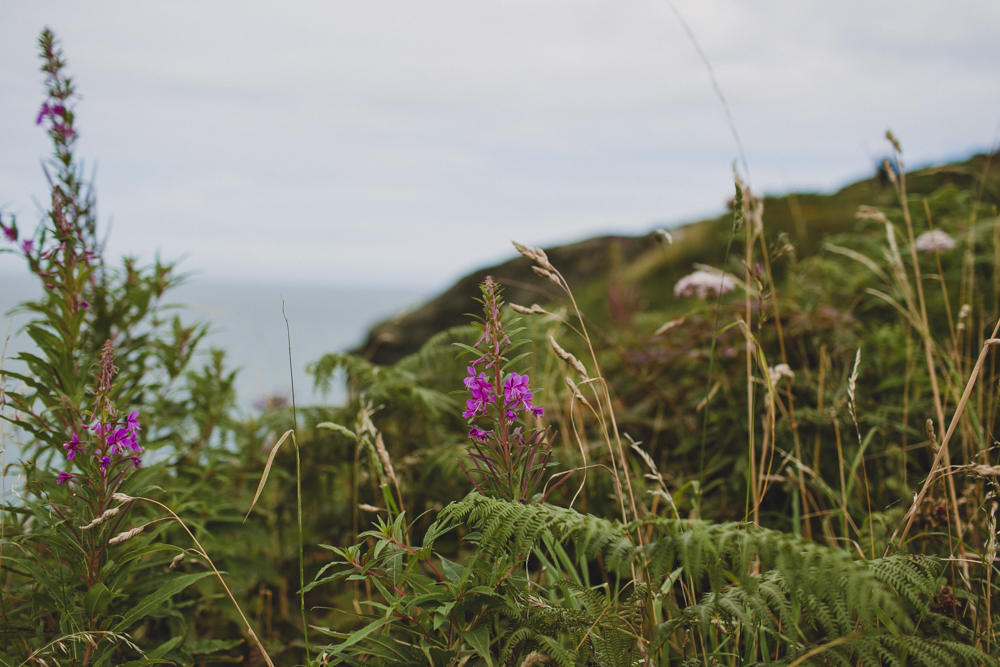 julia-trotti_howth_005.jpg