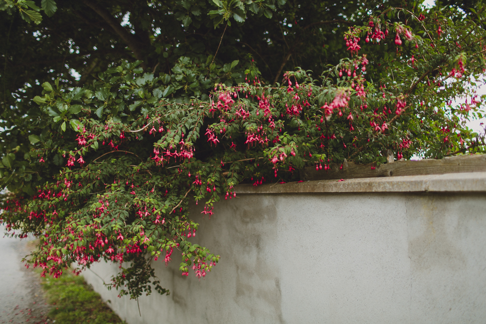julia-trotti_howth_027.jpg
