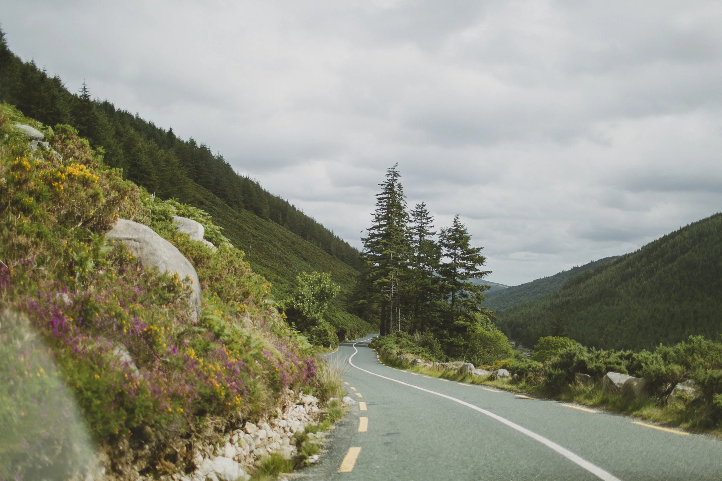 wiklow mountains national park, ireland