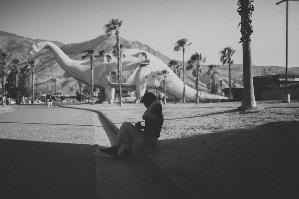 joshua tree_02.jpg