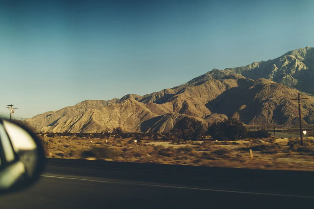 joshua tree_06.jpg