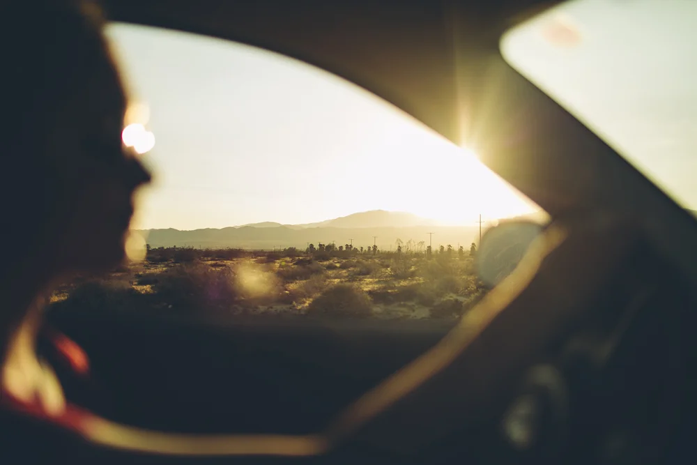 joshua tree_12.jpg