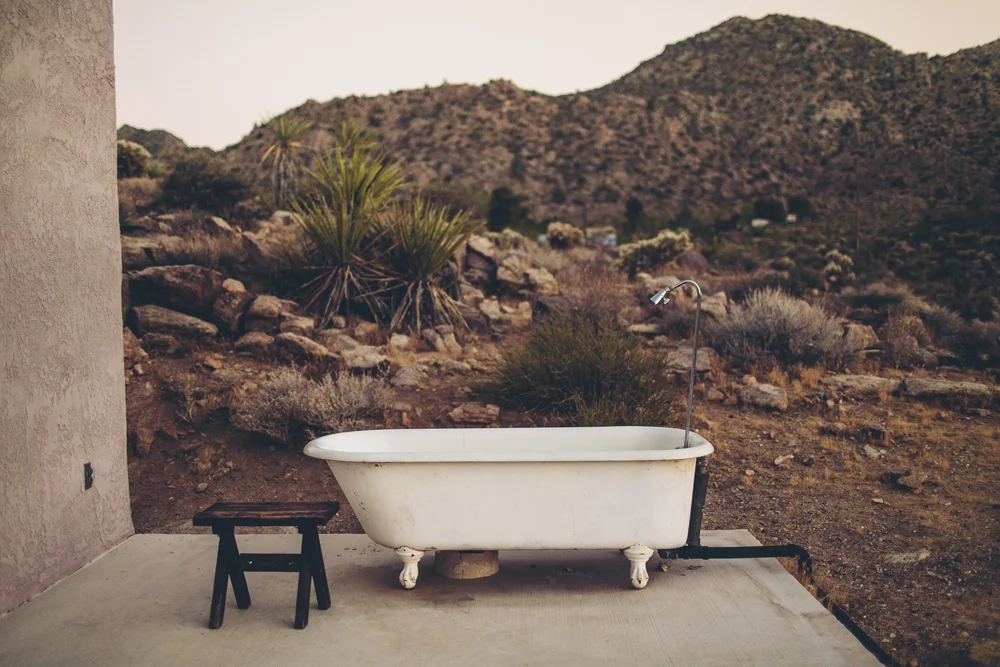 joshua tree_23.jpg